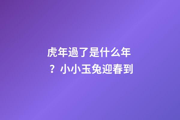 虎年過了是什么年？小小玉兔迎春到